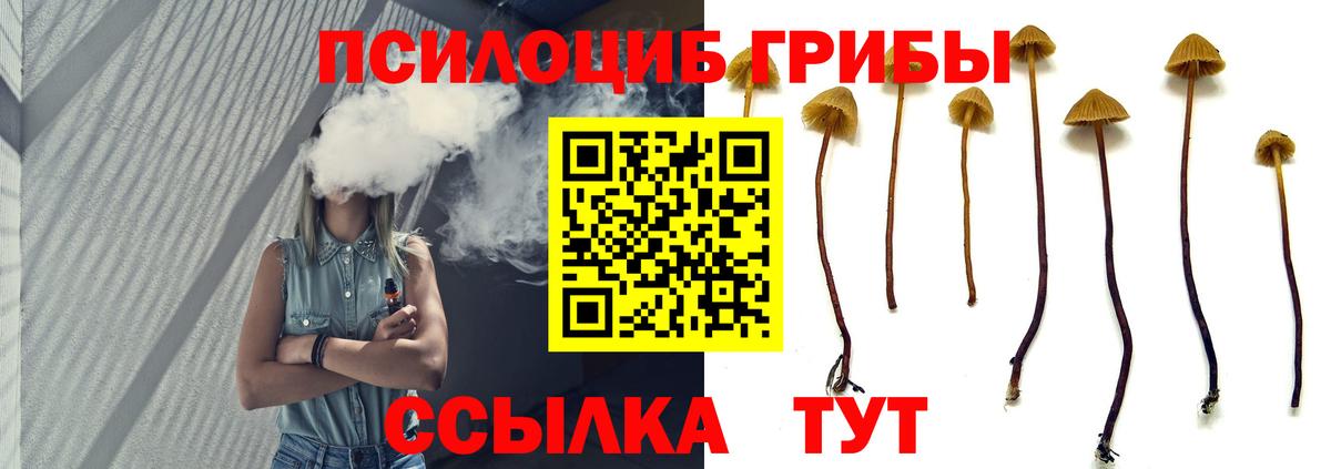 Галлюциногенные грибы MAGIC MUSHROOMS Владикавказ
